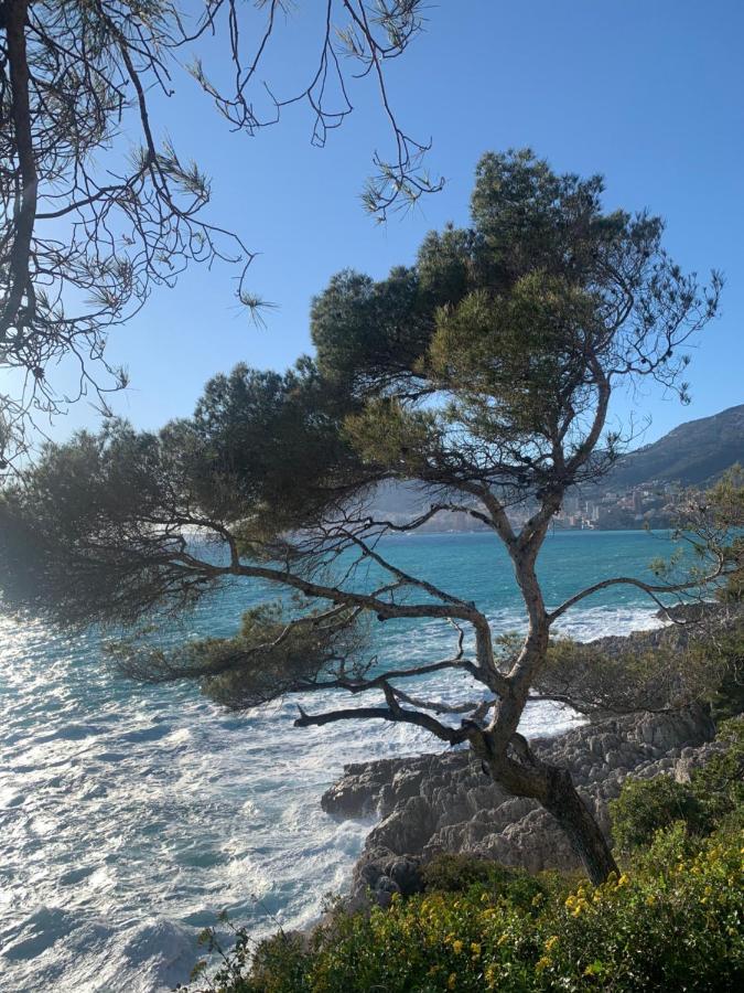 Castiello B&B Roquebrune-Cap-Martin Zewnętrze zdjęcie